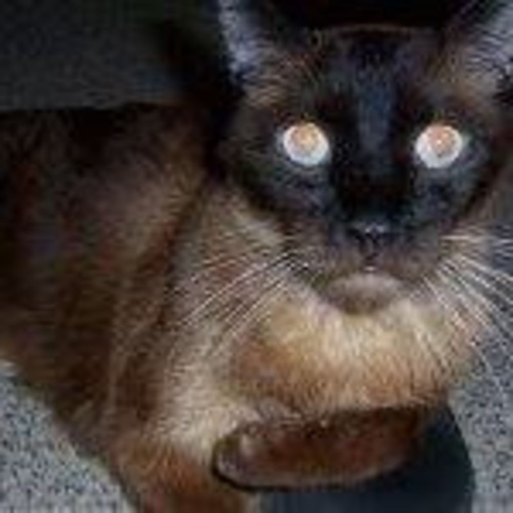 Meet your Posher, Kirsten